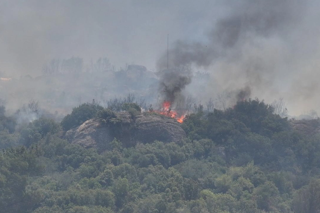 İzmir’de Orman Yangınları: 10 Bin Hektar Küle Döndü!
