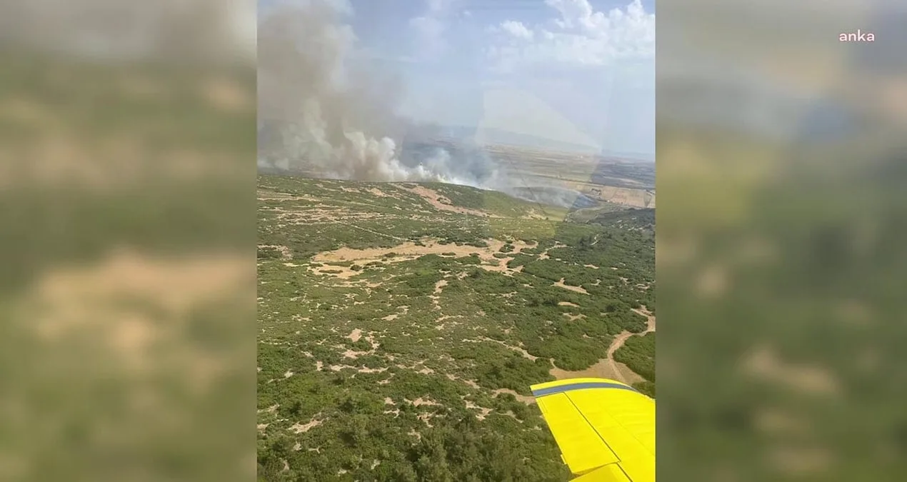 İzmir’de Orman Yangınları: Foça ve Urla Tehlikede!