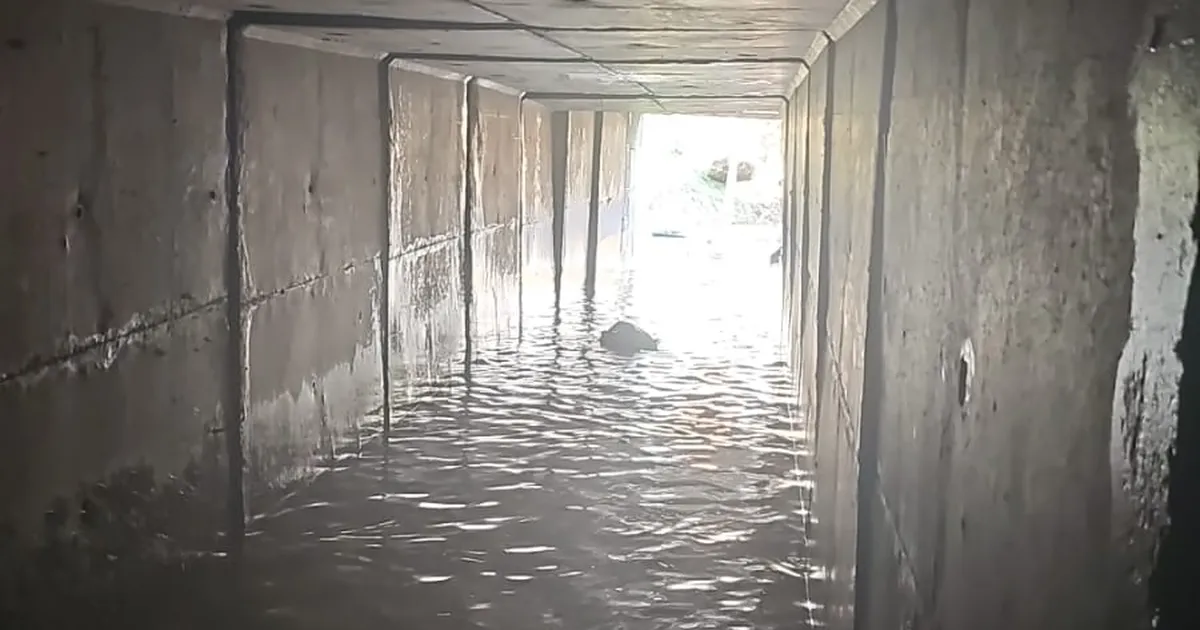 İzmir’de Sağanak Yağış Aracları Dereye Sürükledi!
