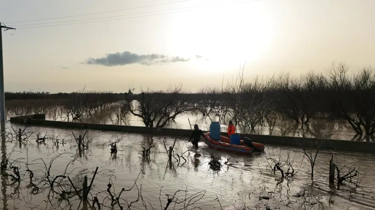 İzmir’de Selde Mahsur Kalan Hayvanlara Kurtarma