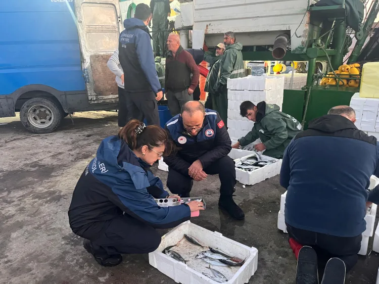 İzmir’de Sürdürülebilir Balıkçılık İçin Denetimler Devam Ediyor