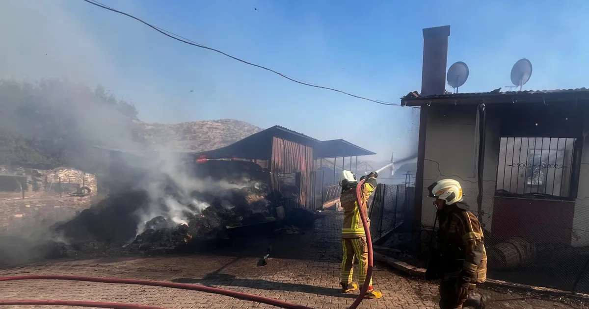 İzmir’de Yangın: 100 Kişi Tahliye Edildi