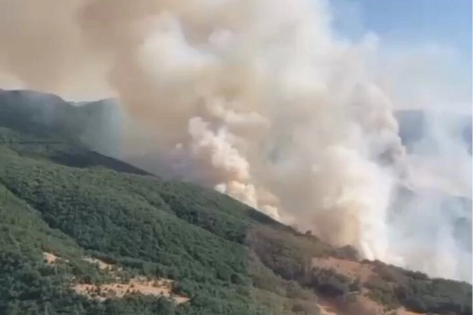 İzmir’deki Yangın Kontrol Altında, Mücadele Devam Ediyor