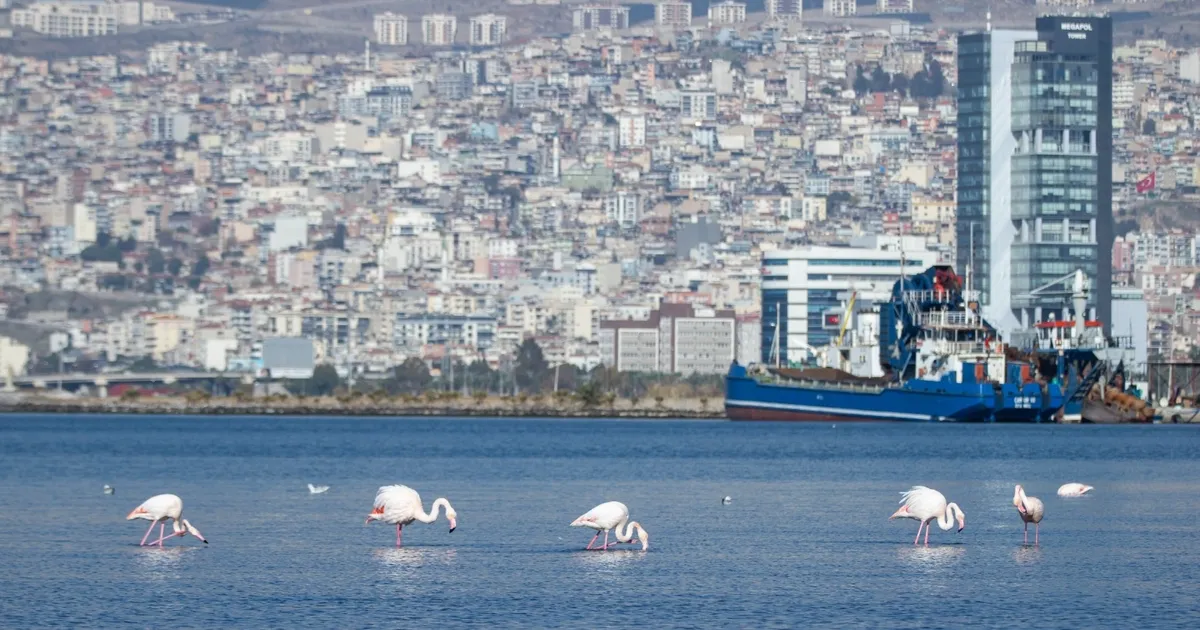 İzmir İklim Nötr Hedeflerini Dünya’ya Tanıttı!