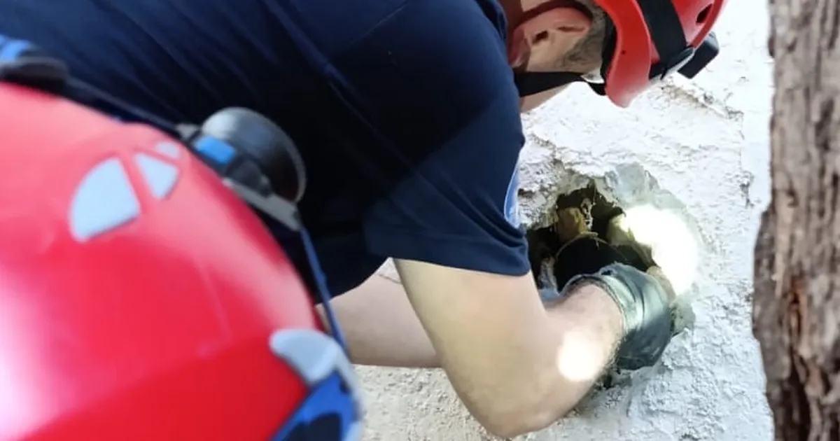 İzmir İtfaiyesi’nden Kedilere Kurtarma Operasyonu!