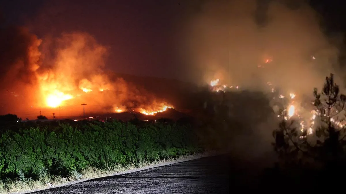 İzmir ve Antalya’da Yangınla Mücadele Devam Ediyor!