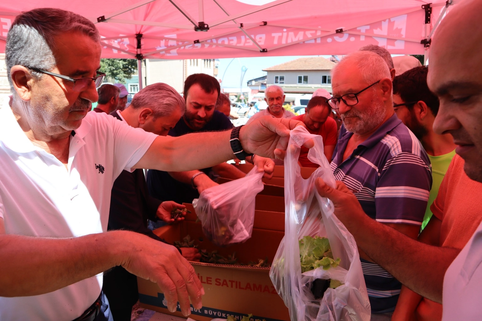 İzmit Belediyesi’nden Fide Desteği: Tarıma Katkı!