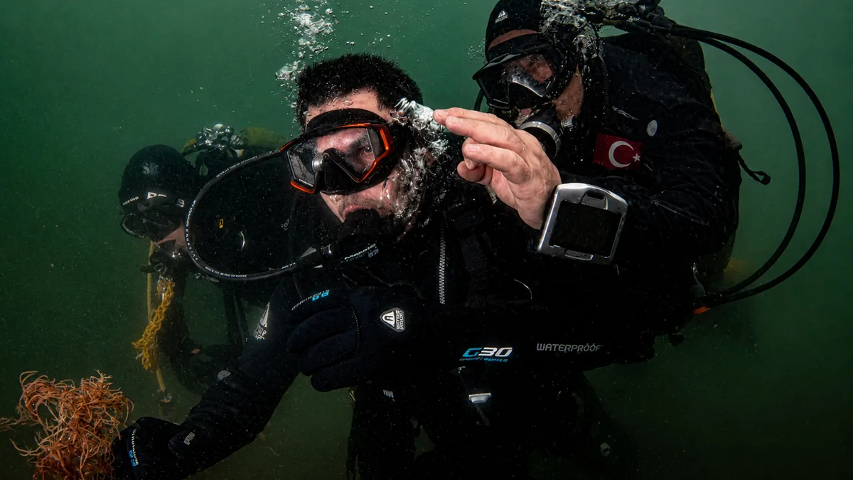 İzmit Körfezi’nde Deniz Canlanıyor, Fethiye Sıra!