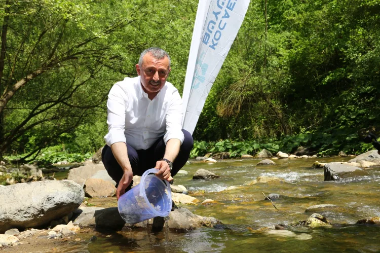 İzmit Körfezi’ne 16 Bin Alabalık Salındı!