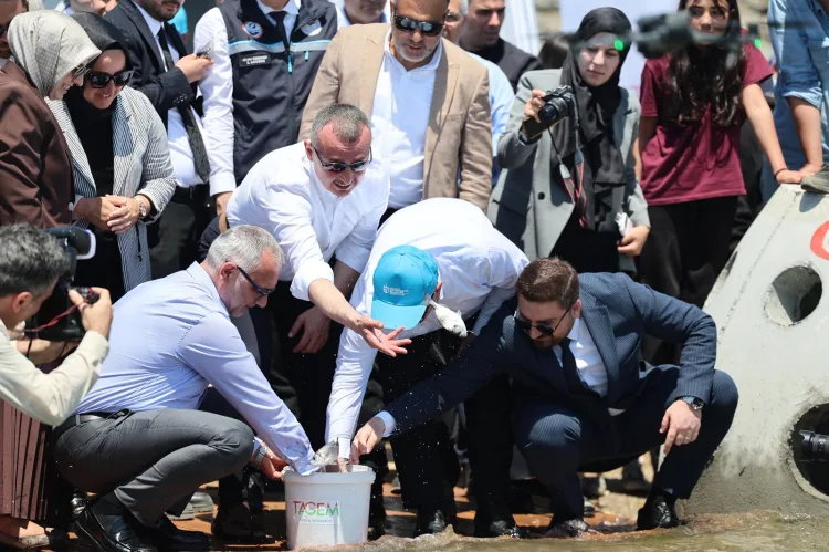 İzmit Körfezi’ne 6 Bin Balık ve 100 Yapay Resif!