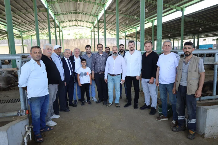 İzmit Modern Hayvan Pazarı’na Yoğun İlgi!