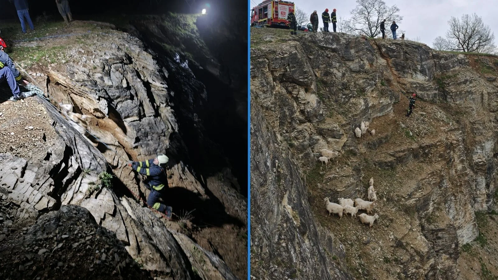 İzmit’te 15 Keçi ve Oğlak Kurtarıldı!