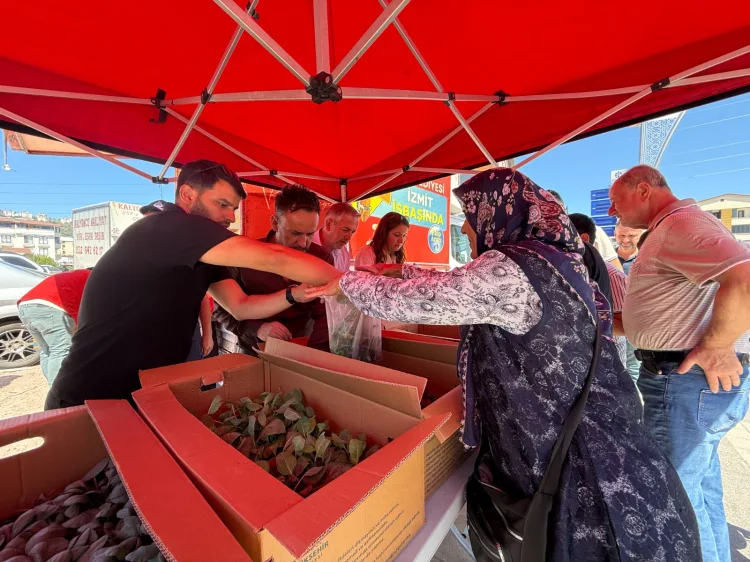 İzmit’te Fide Dağıtım Programı Yoğun İlgi Gördü