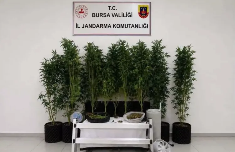 Jandarma’dan 20 İlde Uyuşturucu Operasyonu