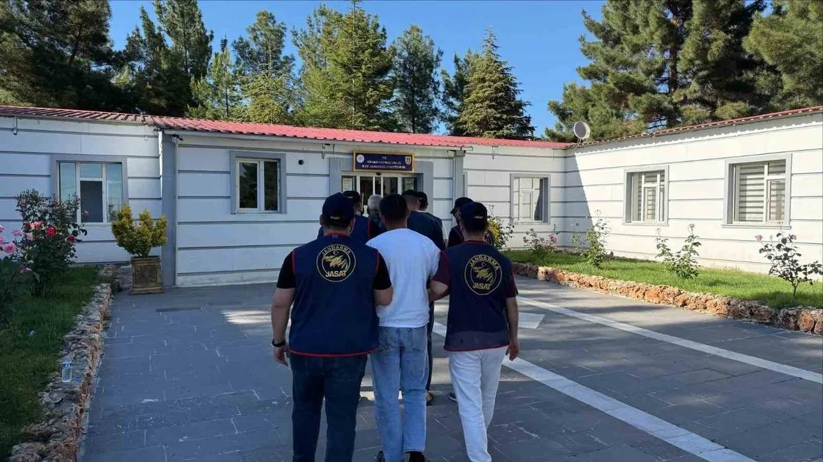 Jandarma Operasyonu: 24 Suçlu Yakalandı!