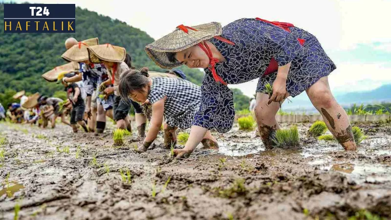 Japonya’da Mevsimsel Güzellikler ve Lezzetler