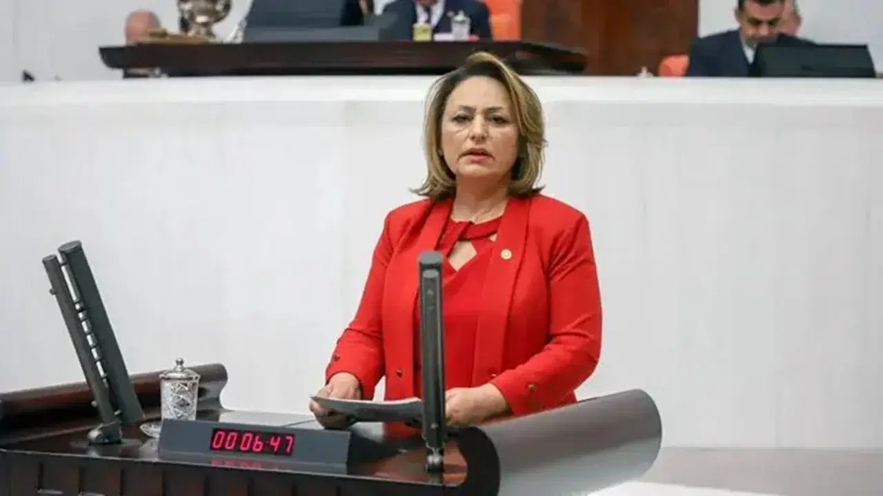 Jeoloji Mühendisleri İçin Kötü Haber: İşsizlik Tehdidi!