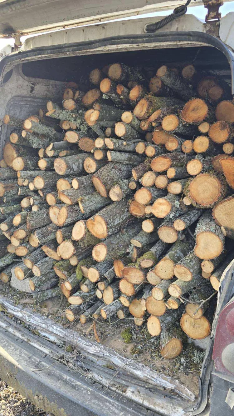 Kaçak Orman Emvali Taşıyan Şahıs Suçüstü Yakalandı!