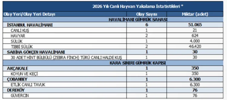 Kaçakçılığa Geçit Yok: 58 Bin Canlı Hayvan Kurtarıldı
