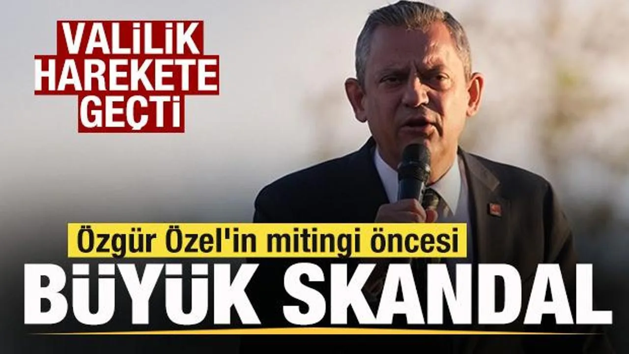 Kadim Zeytin Ağaçları Katledildi, Tepkiler Büyüyor