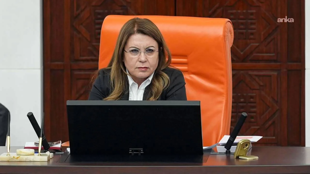 Kadın ve Çocuk Ölümleri İçin Meclis Araştırması İstendi