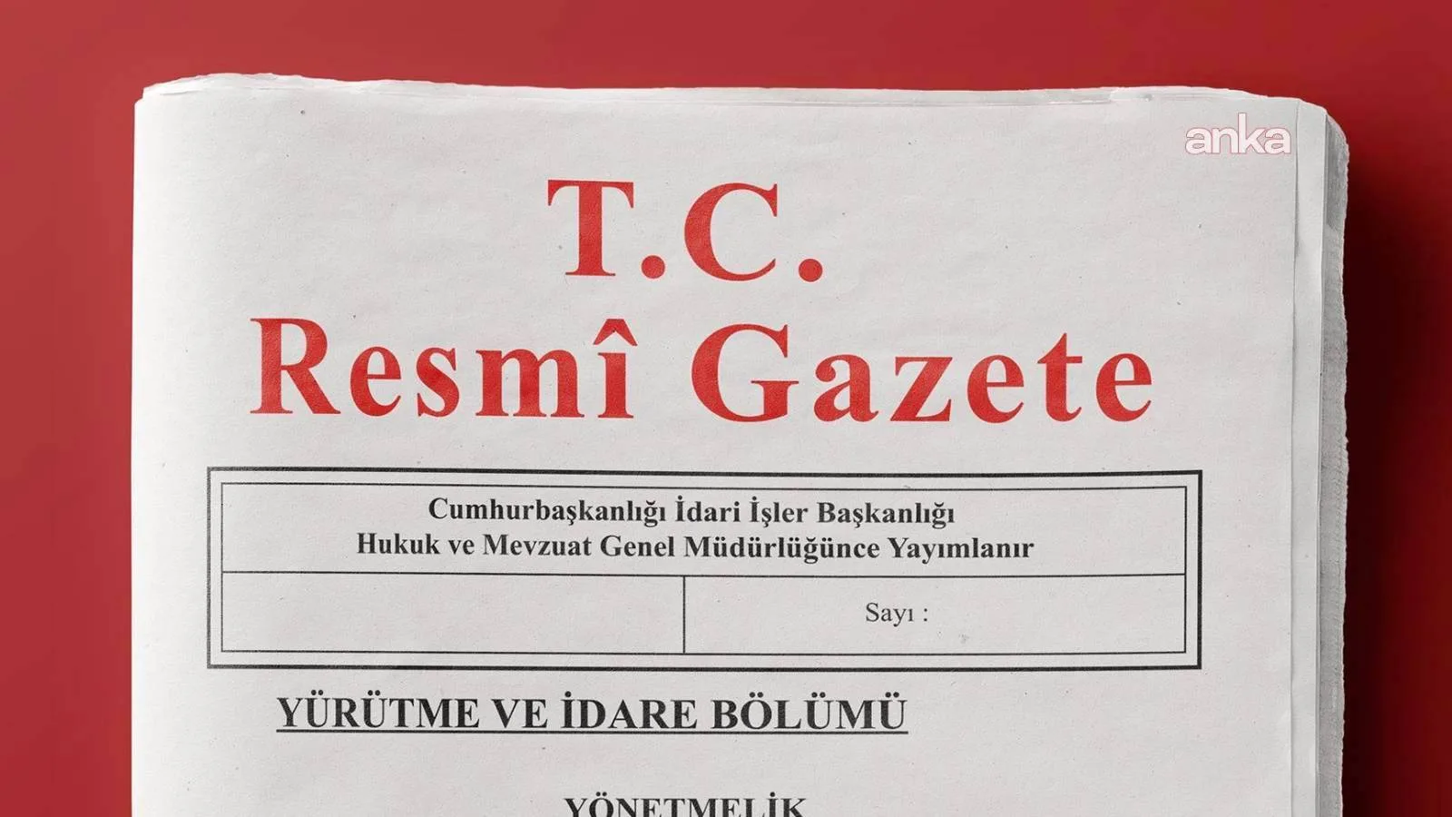 Kadına Yönelik Şiddetle Mücadele Planı Yayımlandı