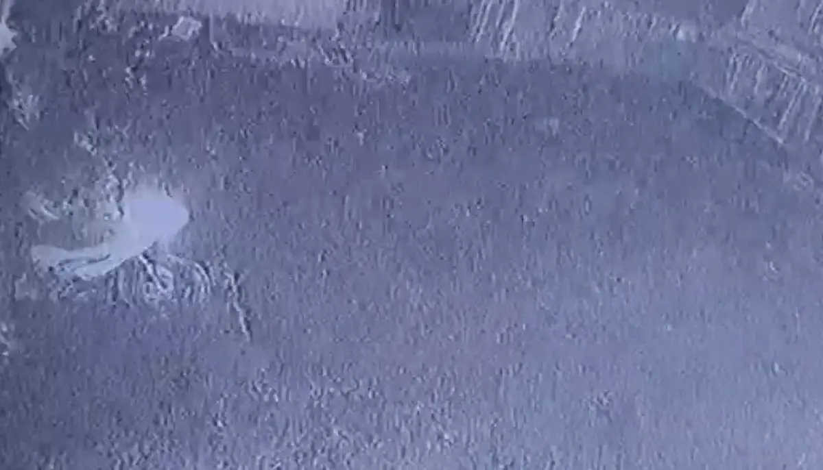İş yeri kurşunlandı:  Karımın sevgilisi yaptı  dedi 3