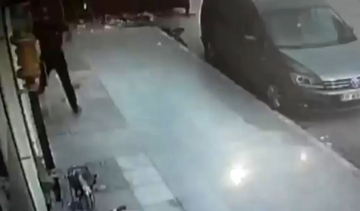 Kaldırım taşıyla banka soymaya çalıştı! Eli boş döndü 3