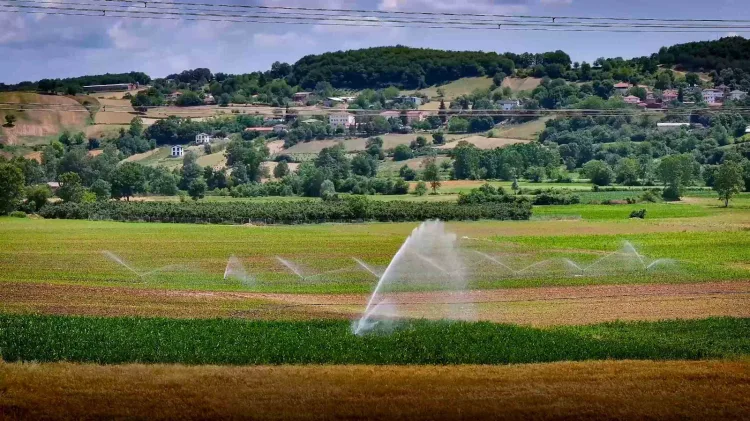 Kandıra’da Sulama Hattı, Tarımı 6 Kat Artırdı!