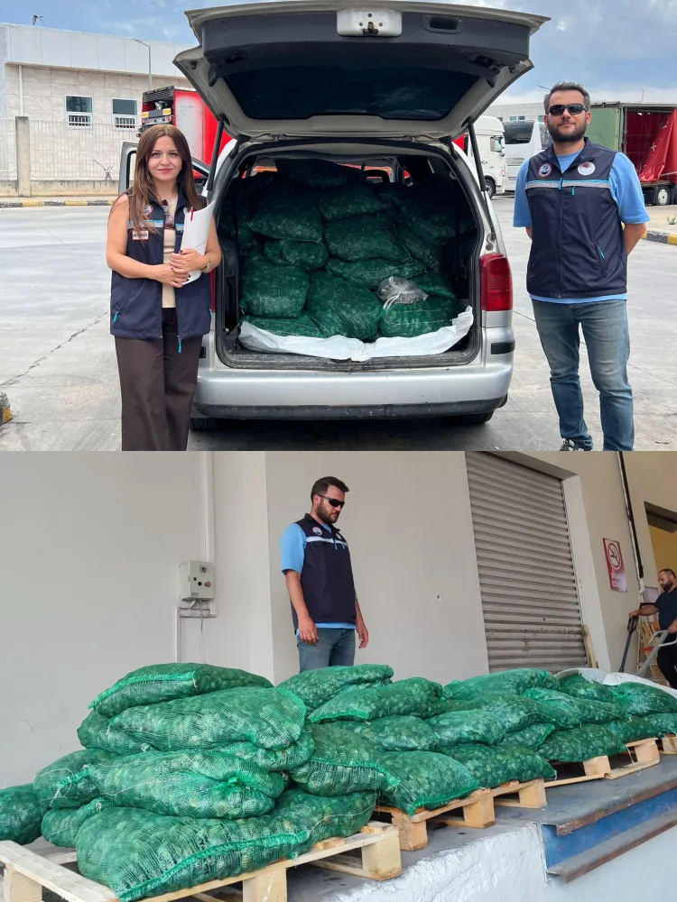 Kapıkule’de 840 kg Canlı Akivades Ele Geçirildi!