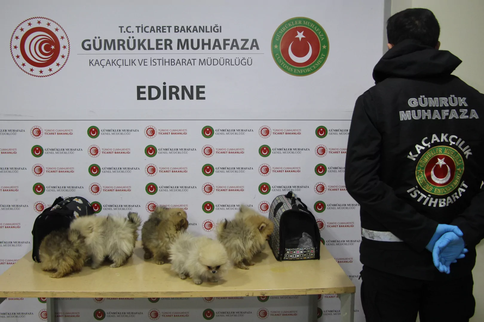 Kapıkule Gümrük