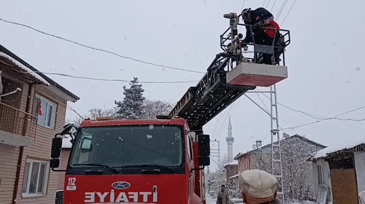 Kar Yağışında Mahsur Kalan Yavru Köpek Kurtarıldı