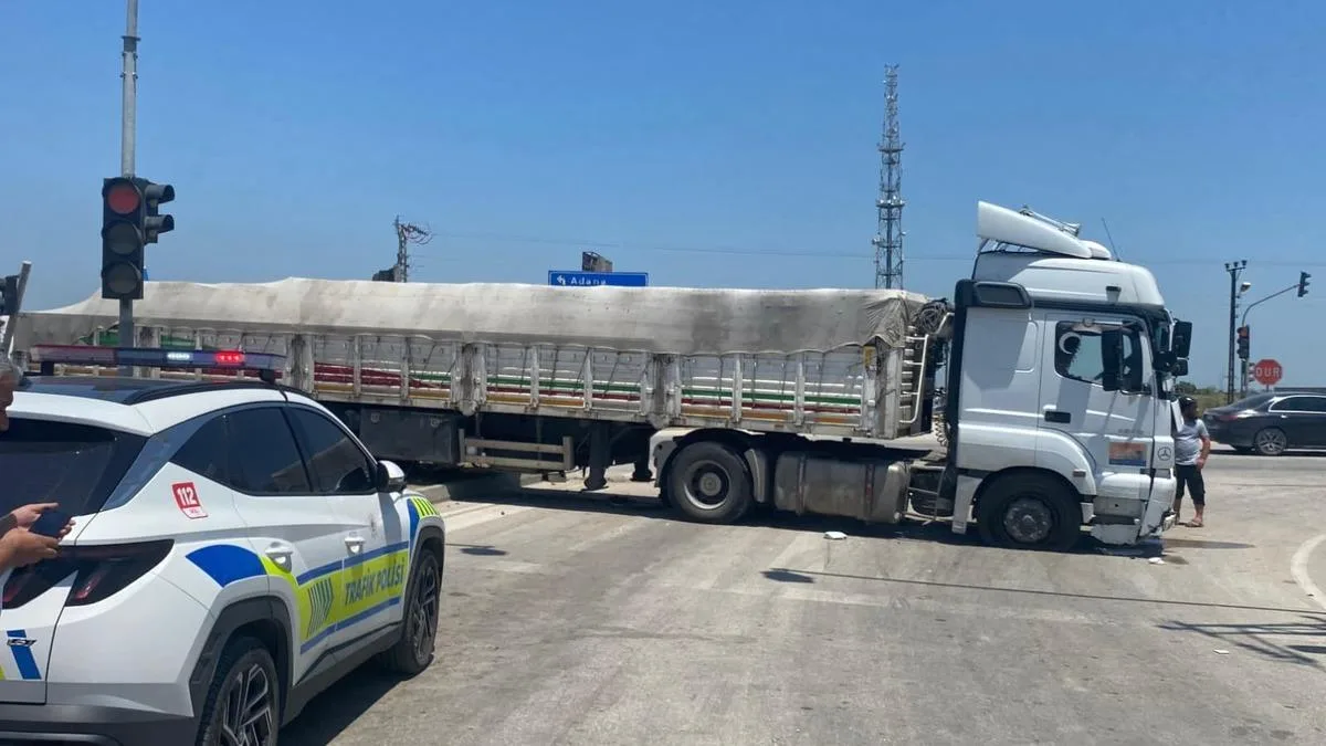 Karabük’te Ayıya Çarpan Otomobil Kazası!