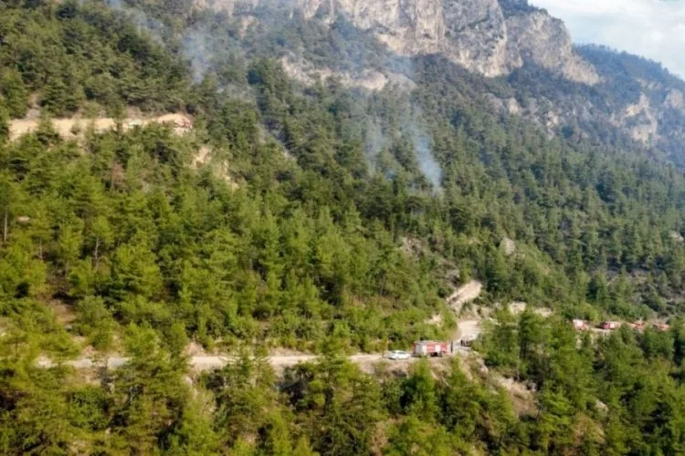 Karabük’te Orman Yangını Kontrolden Çıkıyor!