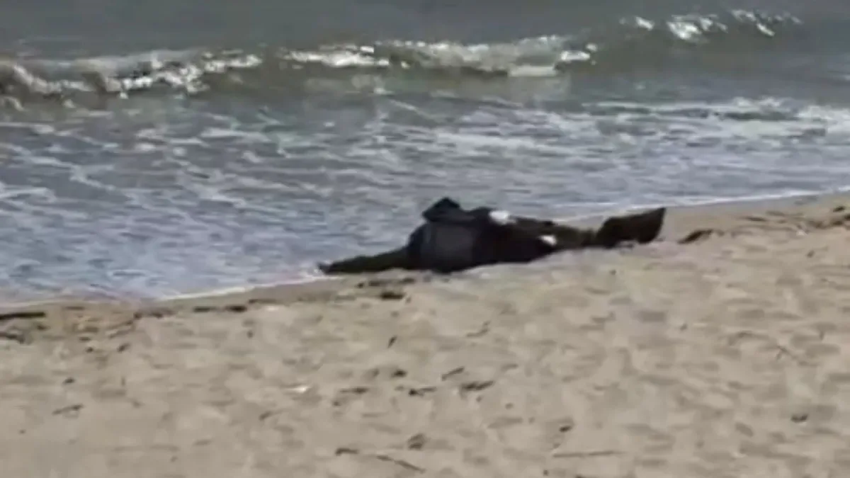 Karaburun’da Bulunan Ceset Kayıp Adam Çıktı