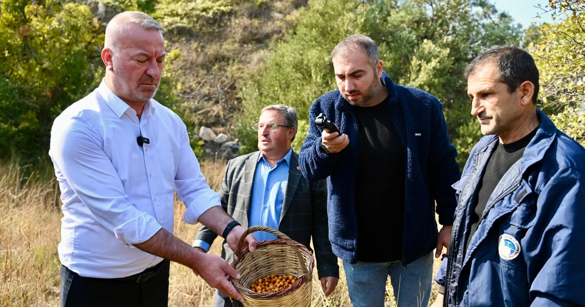 Karacabey Alıç Meyvesi ile Dünyaya Açılıyor!