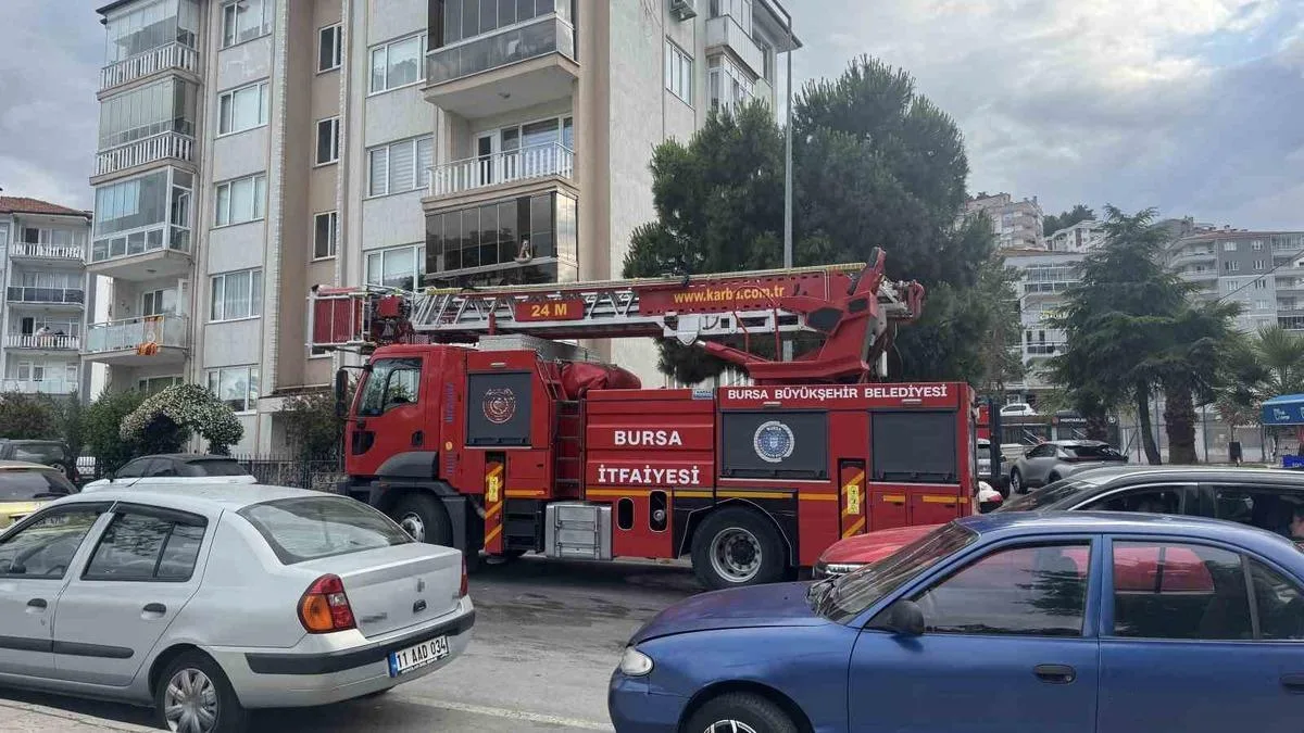 Karganın Kurtuluşu: İtfaiye Ekipleri Görevde!