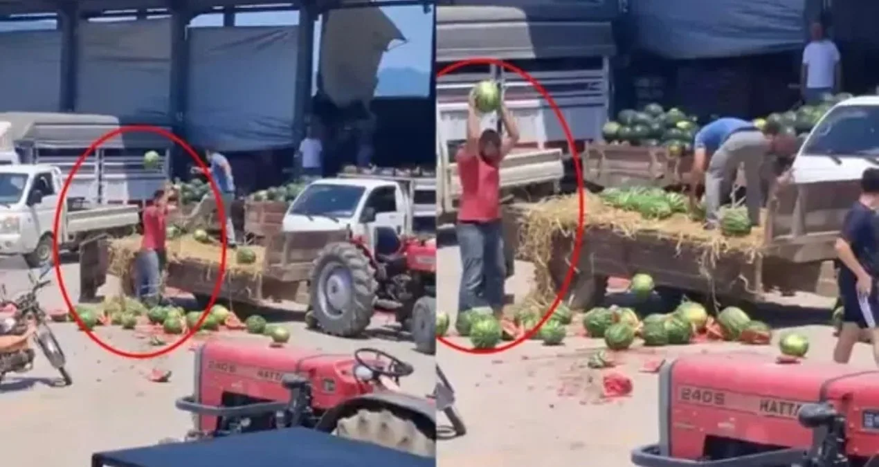 Karpuzları Parçalayan Üreticilere Ağır Cezalar!