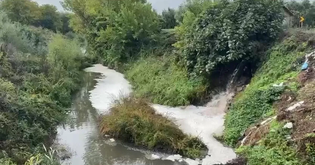 Karsak Deresi’nde Kirlilik Alarmı: Acil İnceleme!