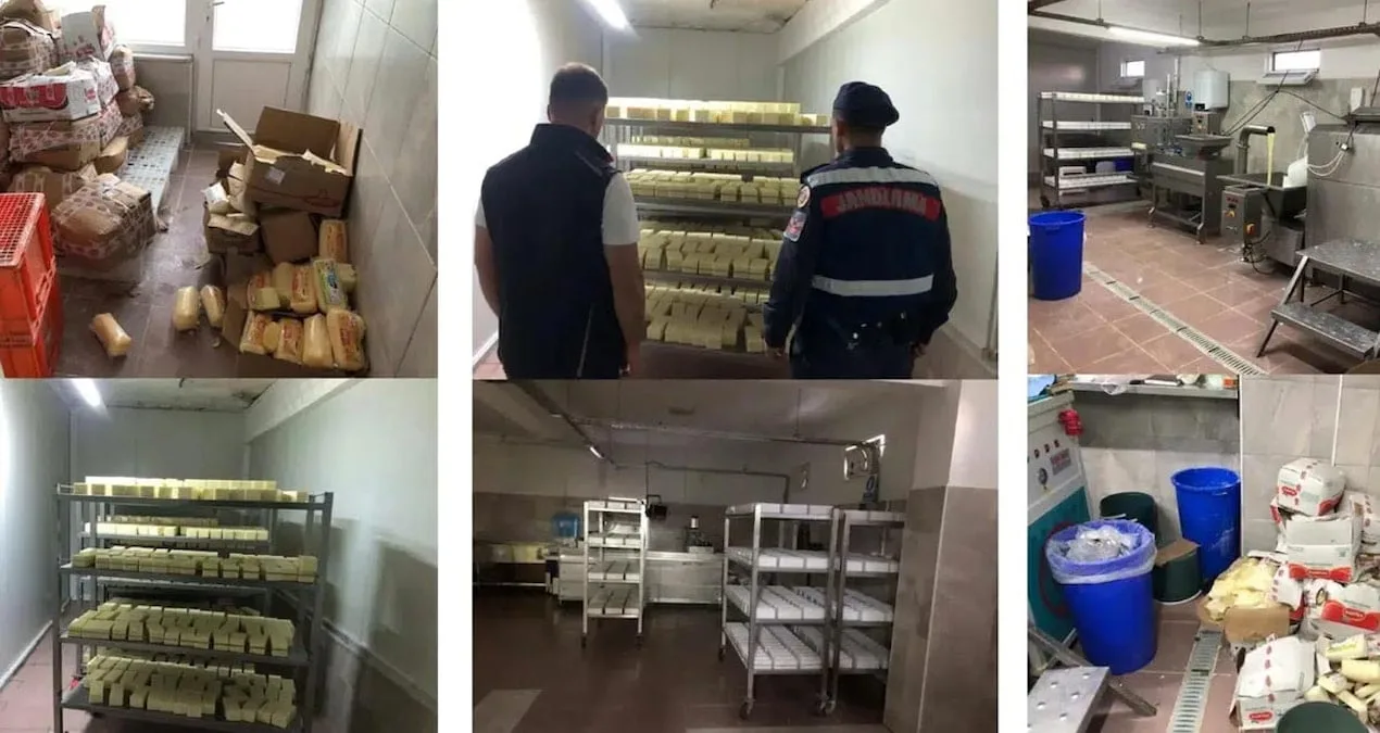 Kaşar Peynirinde Şok Operasyon: 5 Ton Ele Geçirildi!