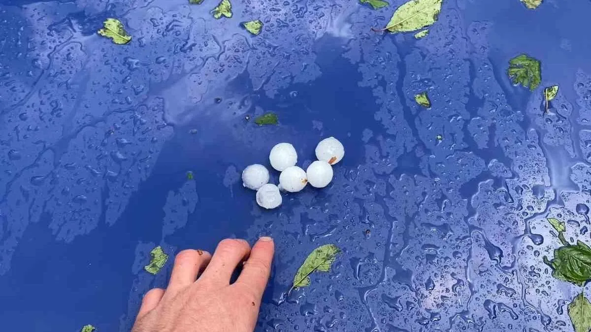 Kastamonu’da Dolu Yağışı Tarımı Vurdu!