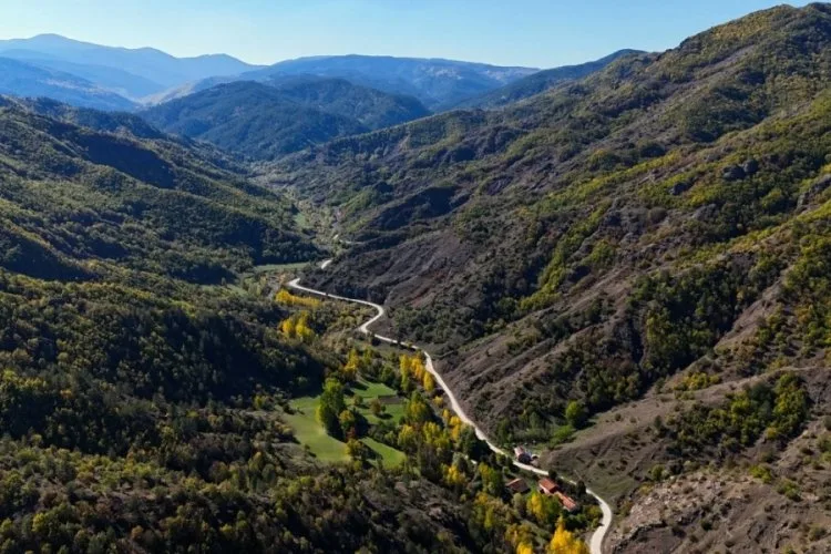 Kastamonu Ormanları’nda Sonbahar Renk Cümbüşü