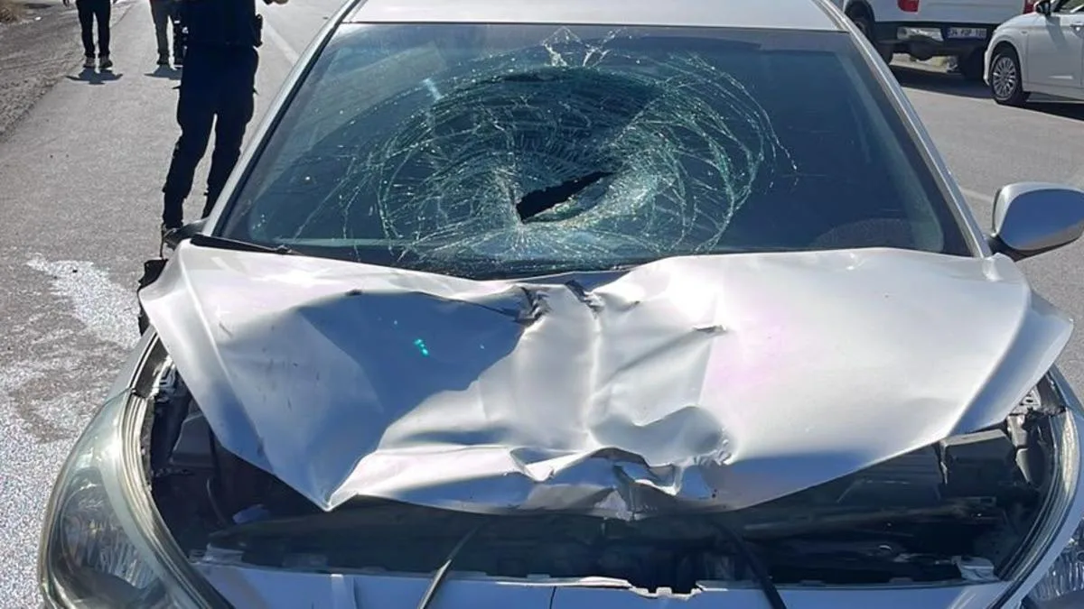 Kavak’ta Trafik Kazası: Zeynep Kor Hayatını Kaybetti