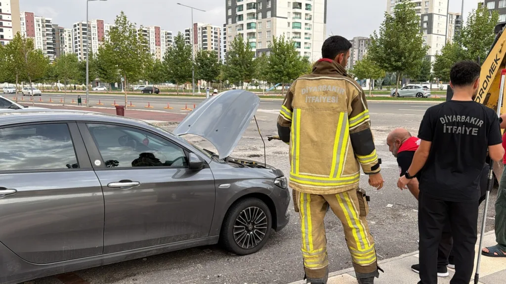 Kayapınar’da Yılan Paniği: Vatandaşlar Yardıma Koştu