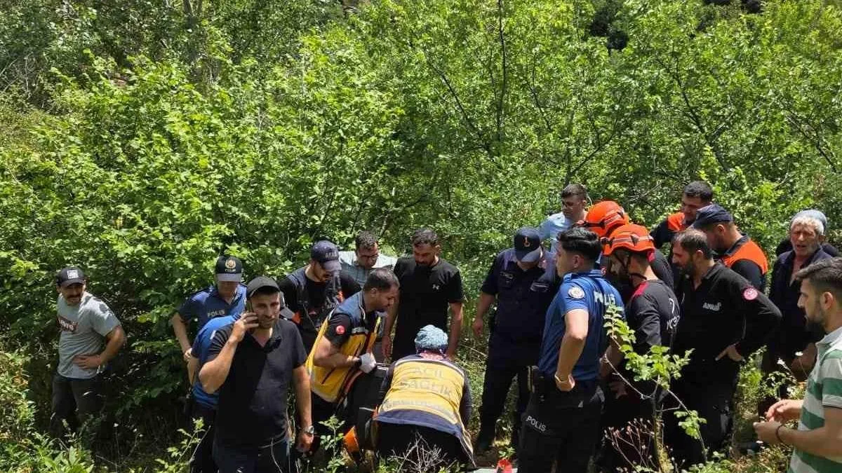 Kayıp Kadın Ormanda Sağ Olarak Bulundu!