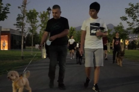 Kayseri’de Köpek Eğitim Parkuru Büyük İlgi Görüyor!