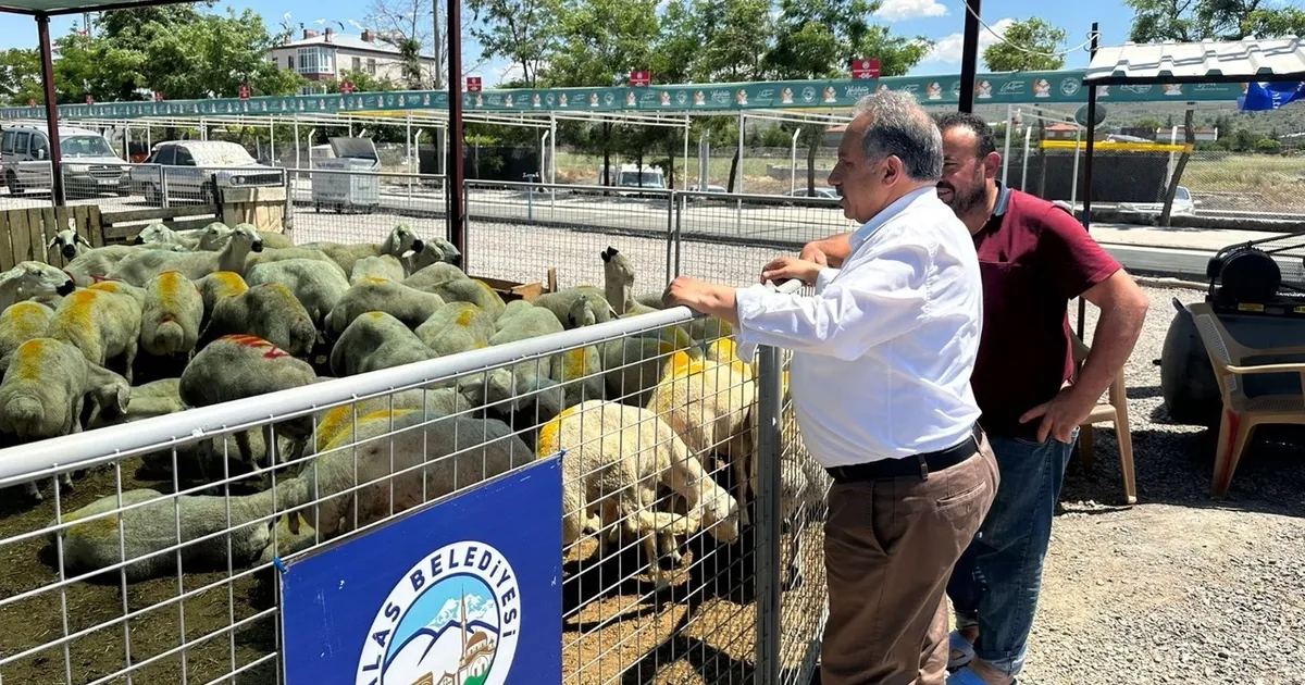 Kayseri Talas’ta Kurban Pazarı Büyük İlgi Gördü!