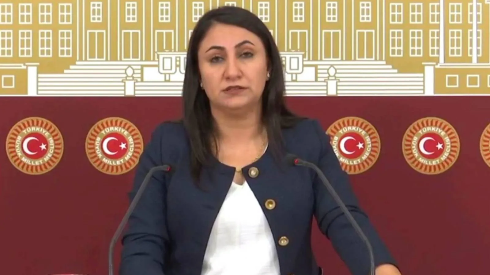 “Kayyım Rejimine Son Verilmeli” Başlıklı Basın Toplantısı