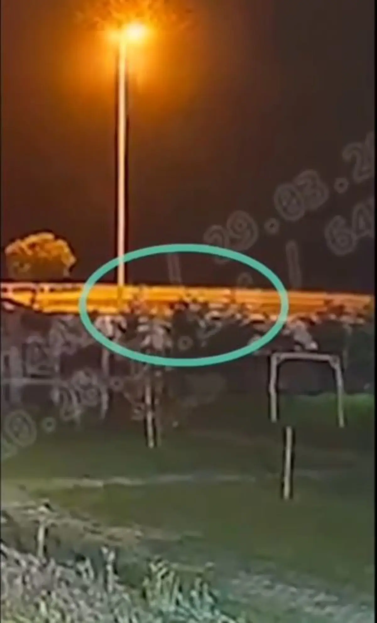 Taciz davasının mağduru Tuana kazada hayatını kaybetmişti! O anların görüntüleri ortaya çıktı 8