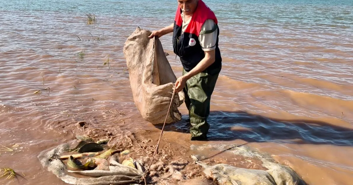 Keban Barajı’nda 700 Kilo Canlı Sazan Kurtarıldı!